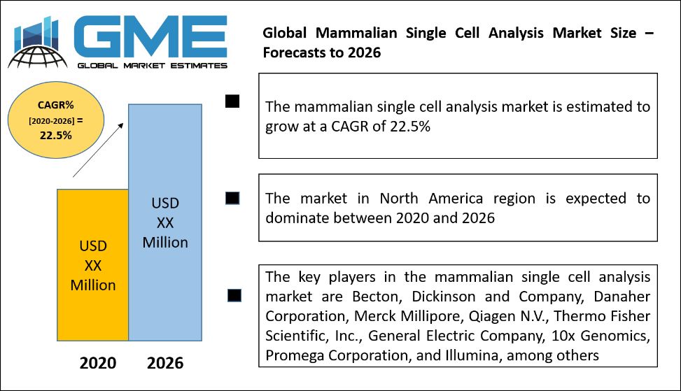 Mammalian Single Cell Analysis Market
